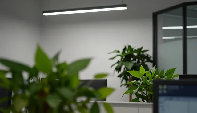 行业资讯发布：寿命长短如何影响实际选择